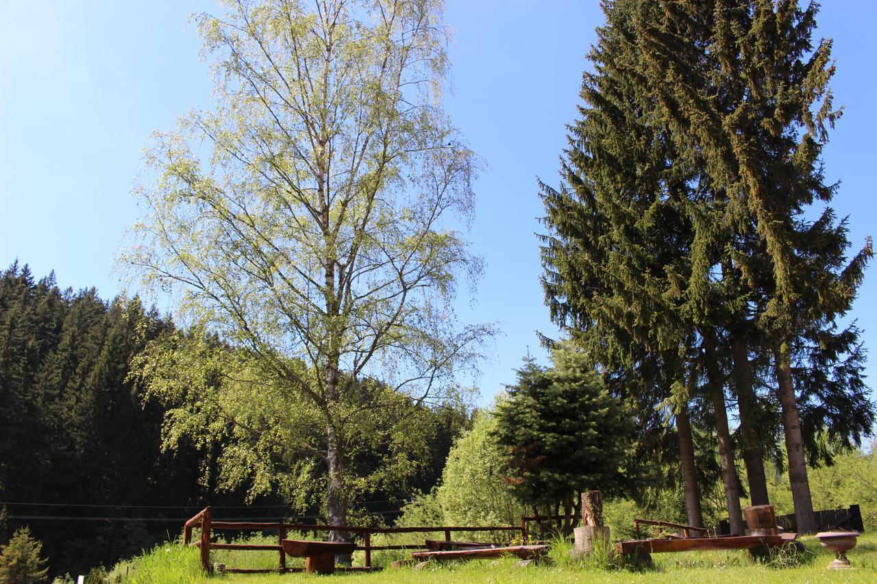 Penzion Pohadka Železná Ruda Dış mekan fotoğraf